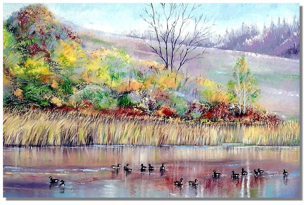 Geese on the Creek